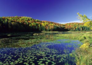 Indian Summer im La Mauricie Nationalpark
