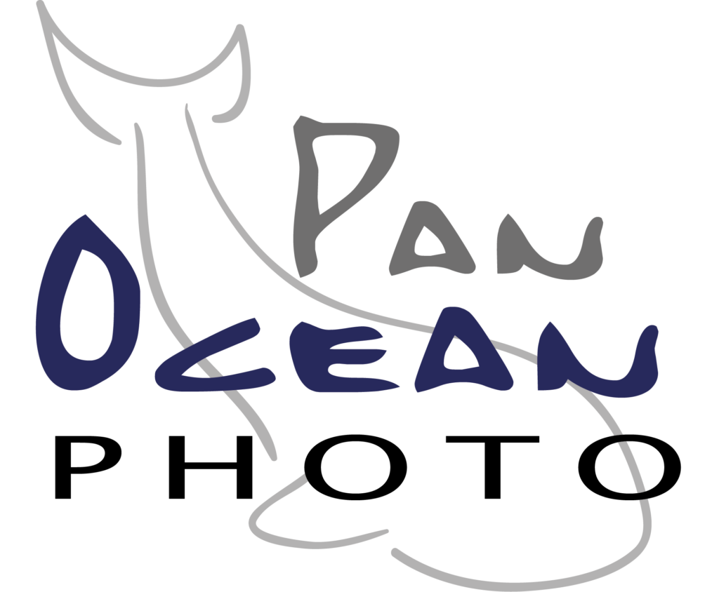 panoceanphoto-logo.png