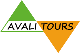 Avali Tours.png
