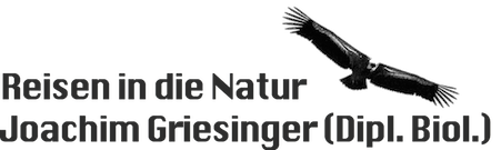 reisen-in-die-natur.png