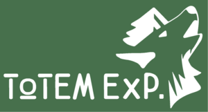 totem-exp.png
