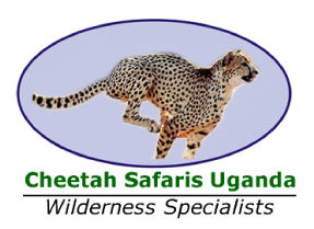 cheetah logo(2).jpg