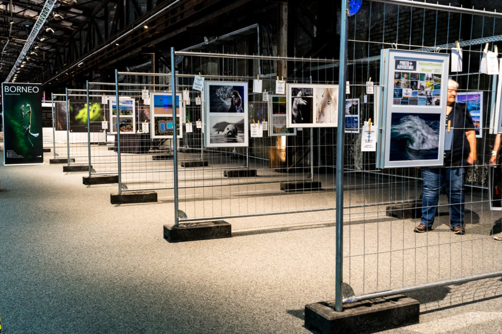 Jede Menge Fotoausstellungen