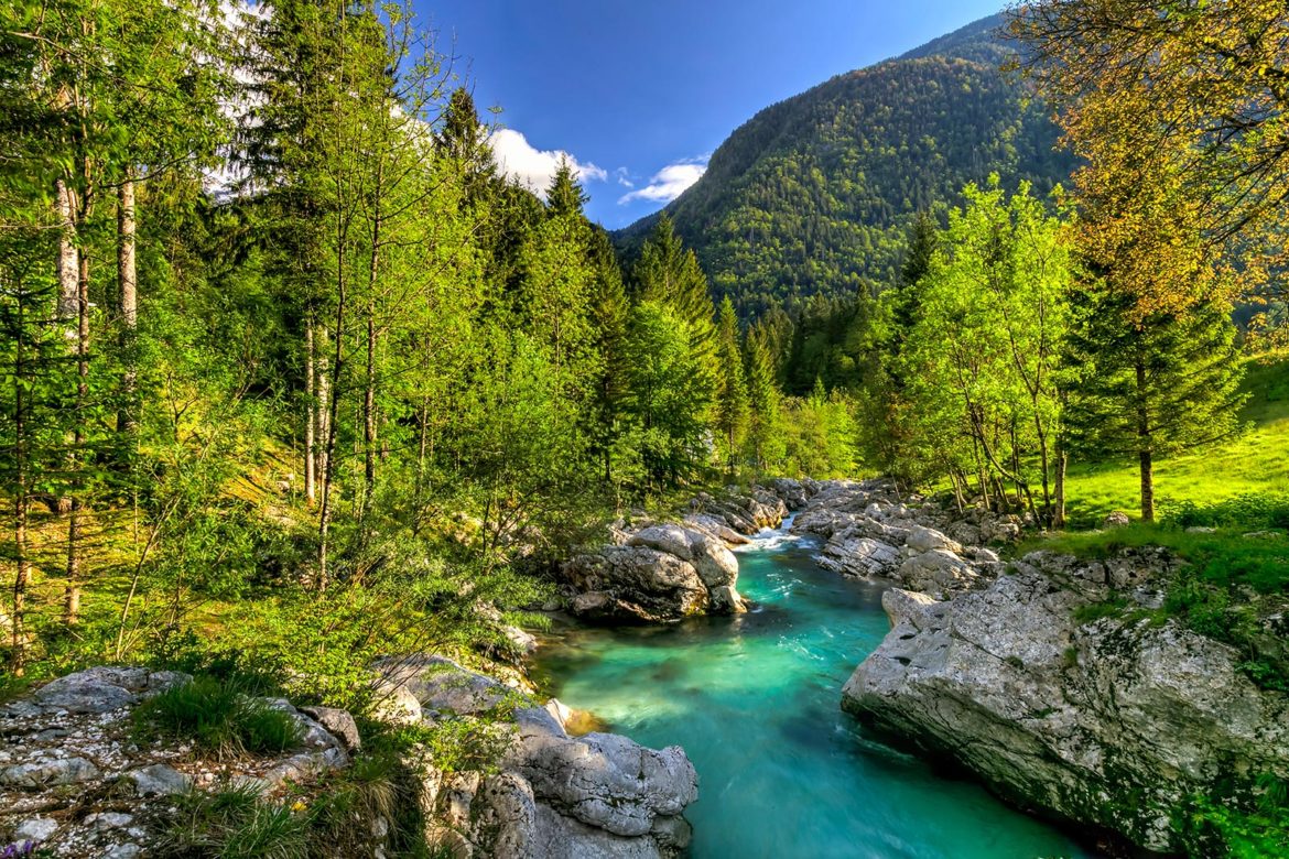 Slowenien: Im Reich von Steinbock, Gams und Auerhahn - Photo+Adventure