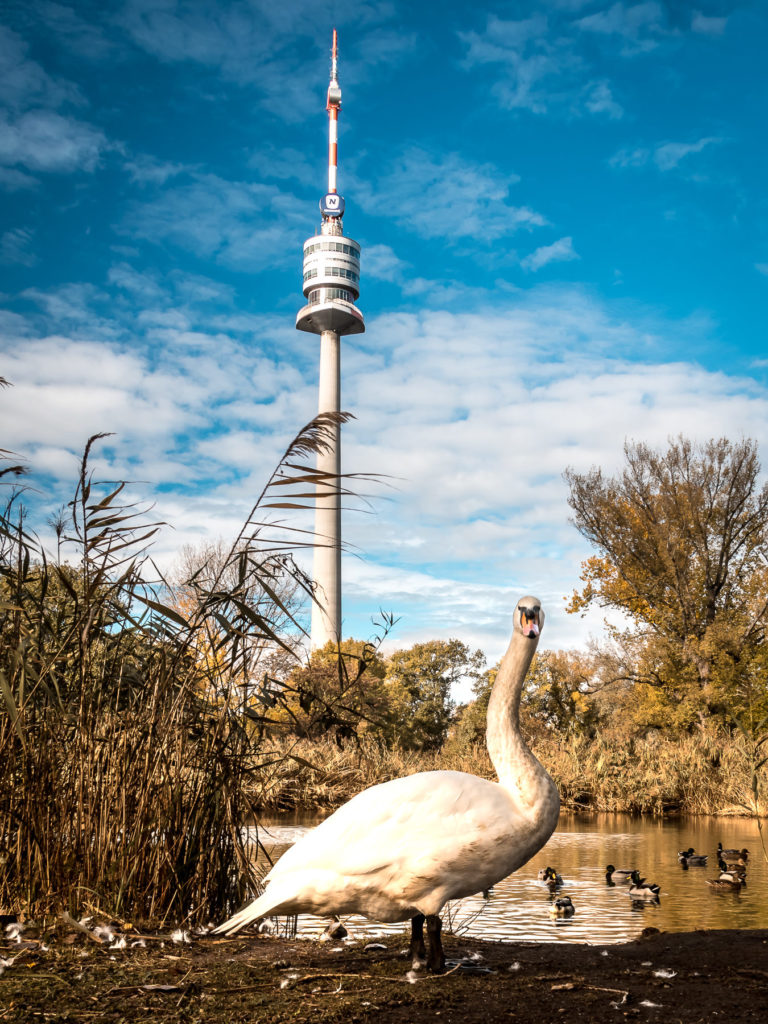 Die Siegerbilder des Fotowettbewerbs "Top of Vienna" - Photo+Adventure