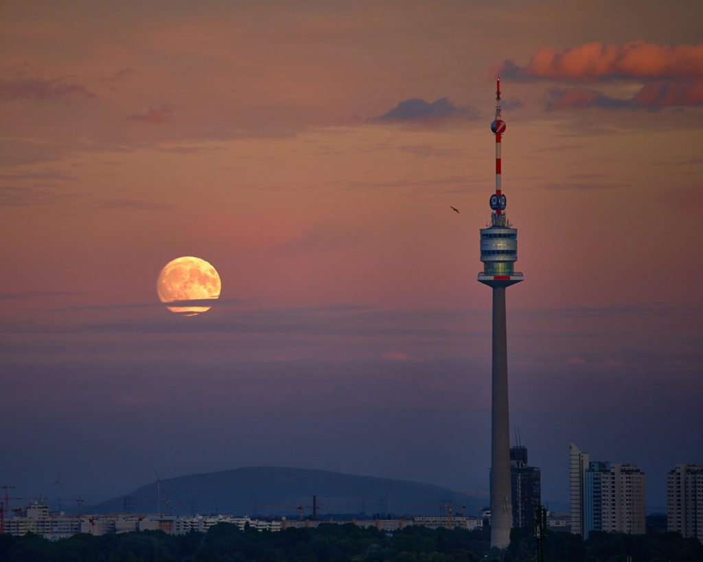 Die Siegerbilder des Fotowettbewerbs "Top of Vienna" - Photo+Adventure
