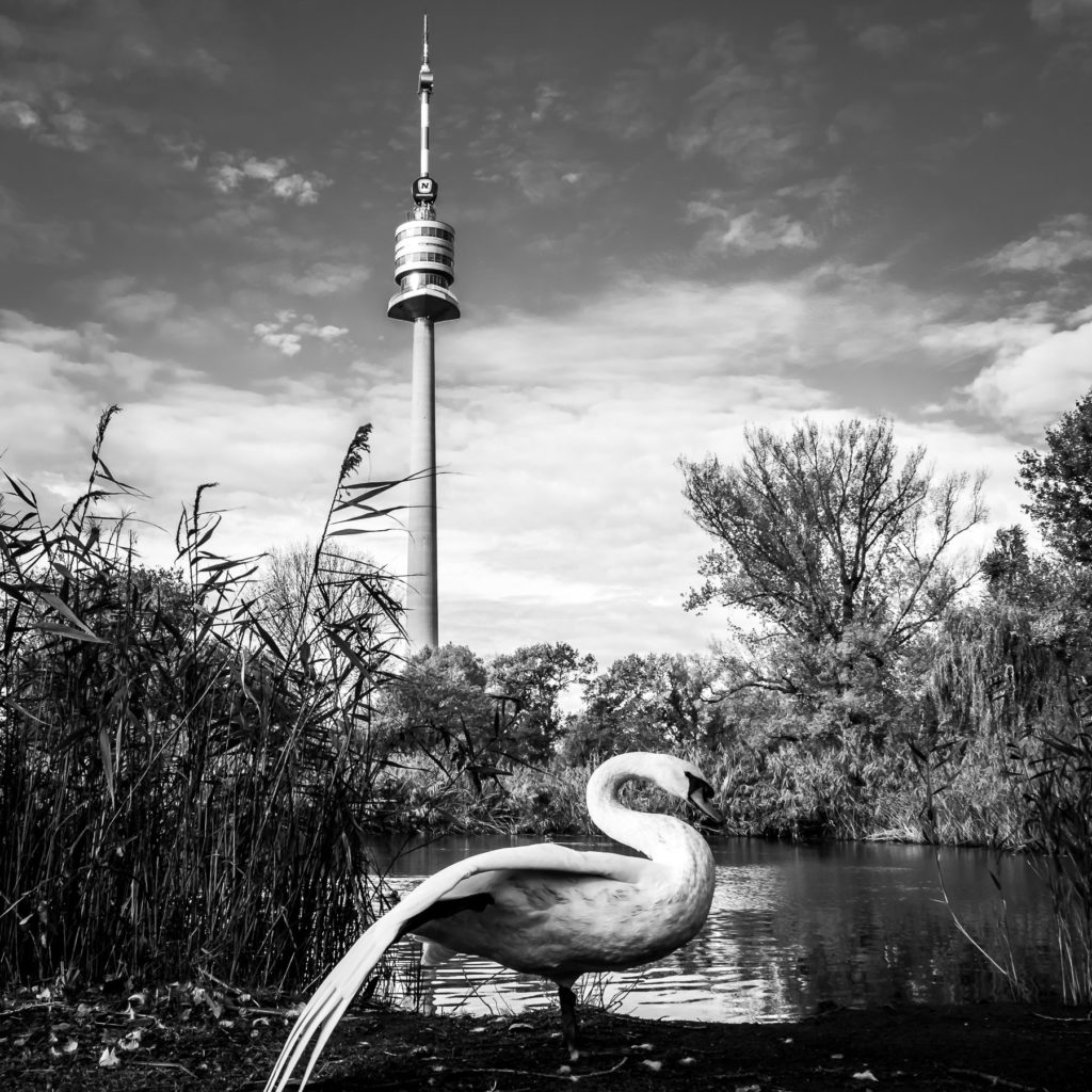 Die Siegerbilder des Fotowettbewerbs "Top of Vienna" - Photo+Adventure