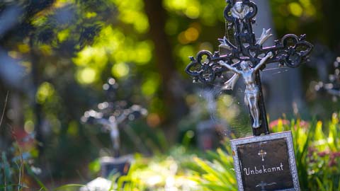 Allerseelen am Wiener Zentralfriedhof - Helmut Mitter - Photo+Adventure