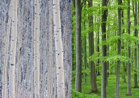 Die Kraft von Farben in der Fotografie - Micha Pawlitzki - Photo+Adventure
