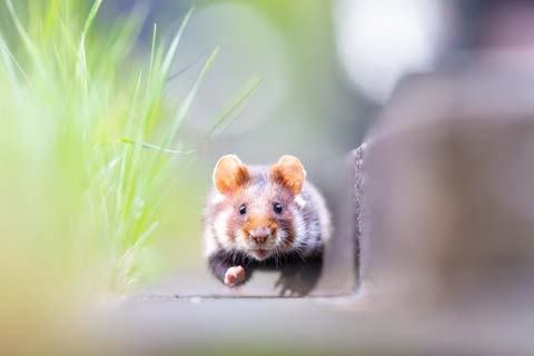 Eine Reise in die Naturfotografie - Perdita Petzl & Henrik Spranz - Photo+Adventure