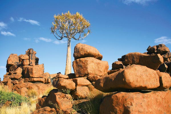 Namibia: Grandiose Naturwunderwelt - Peter Brugger / Kneissl Touristik - Photo+Adventure