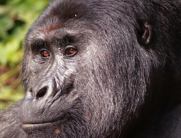 Uganda: die Perle Afrikas - Timo Knöfel / Meine Welt Reisen - Photo+Adventure