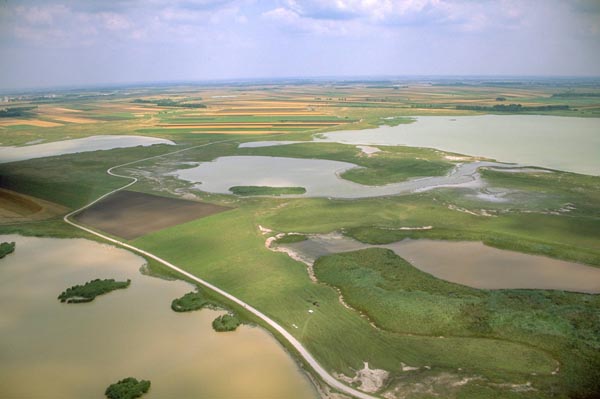 Zeit für Natur: Donaustrom & Steppensee - Thomas Böhm & Alois Lang / NatureTourNet - Photo+Adventure
