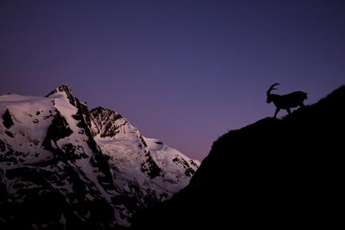 Rupert-Kogler_Hohe-Tauern-NP