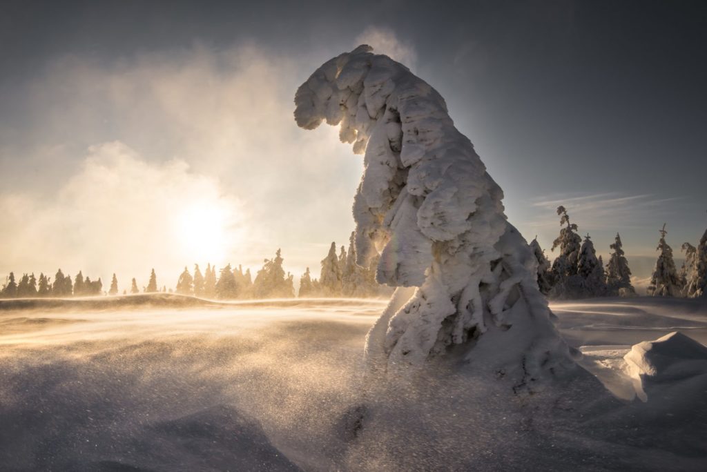 Highlights 2019 - Photo+Adventure