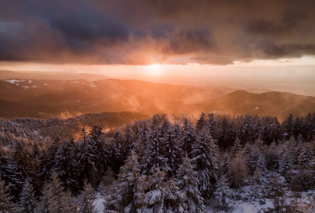 Highlights 2019 - Photo+Adventure