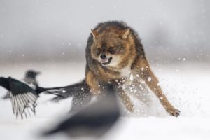 Startseite_Highlights - Photo+Adventure