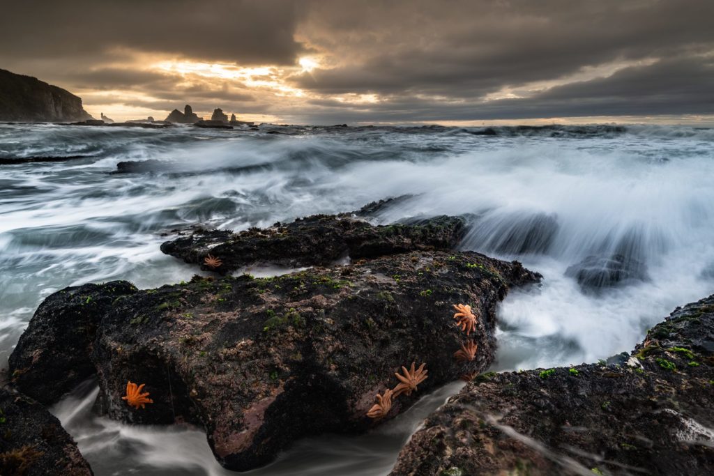 Highlights 2019 - Photo+Adventure