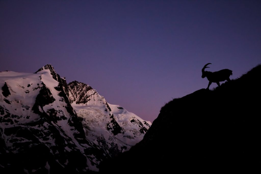 Highlights 2019 - Photo+Adventure