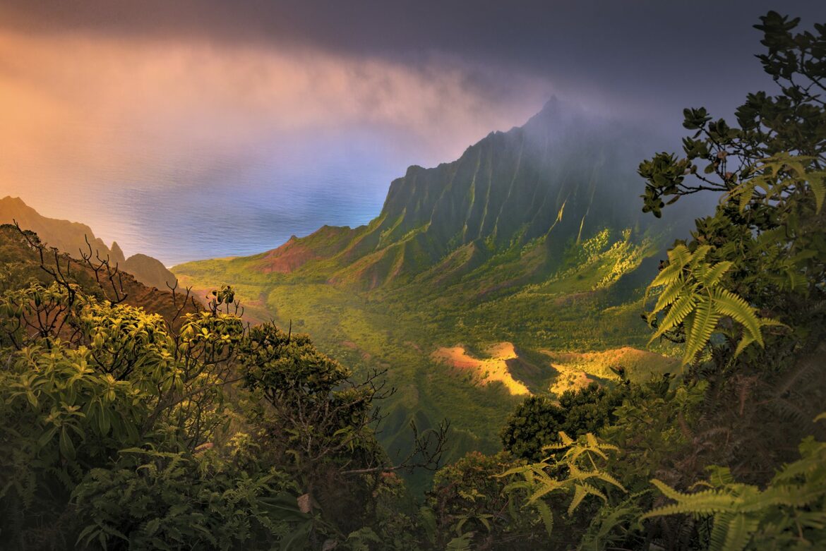 Deep Mood Art - Armin Amano - Photo+Adventure