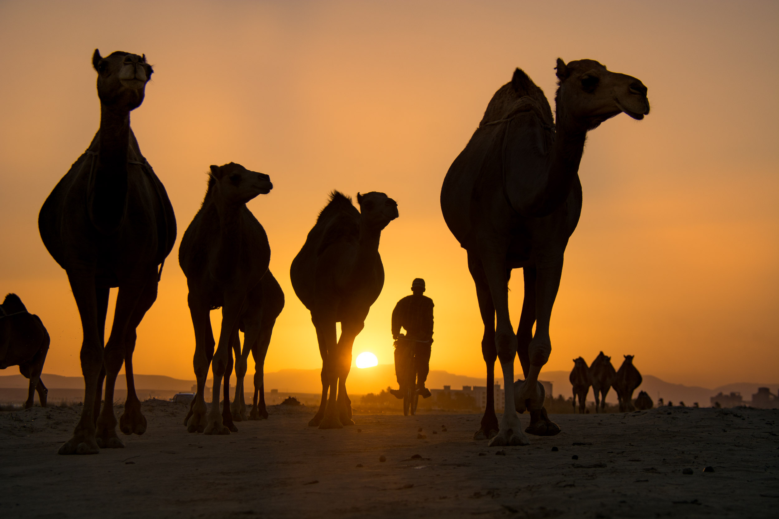 Oman