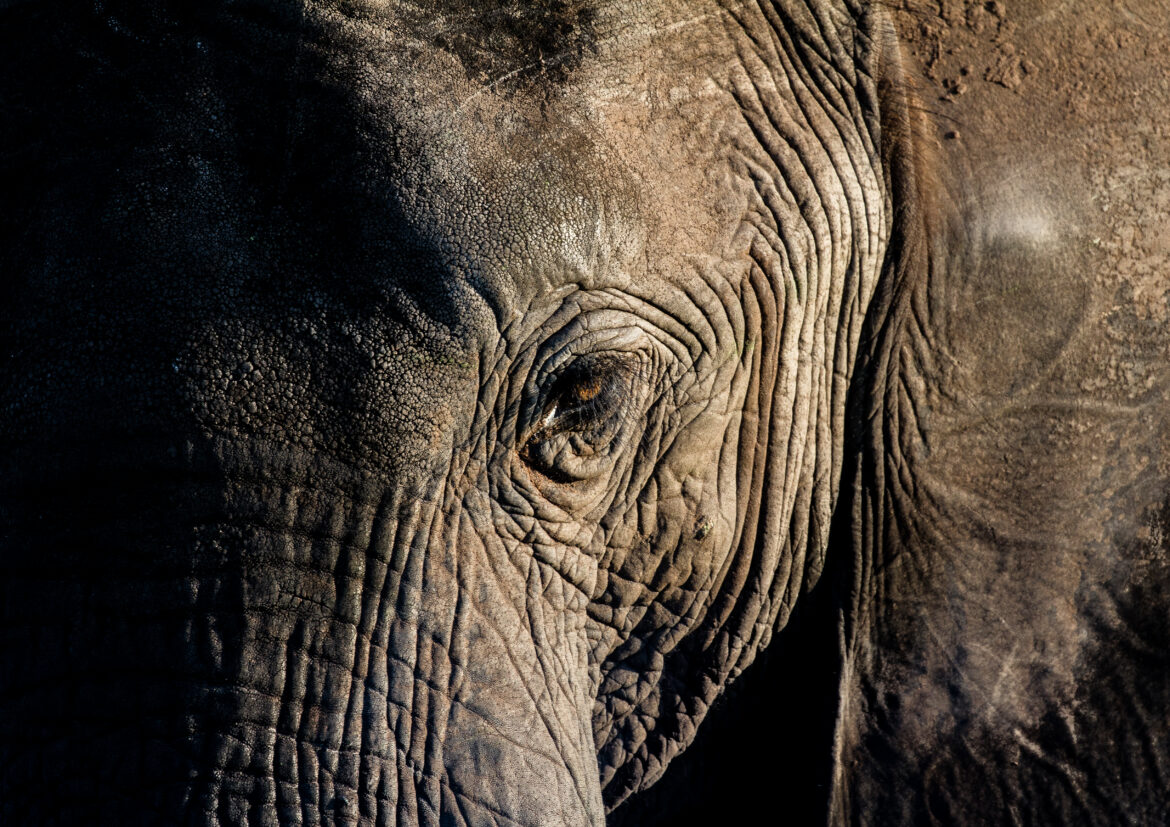 Botswana