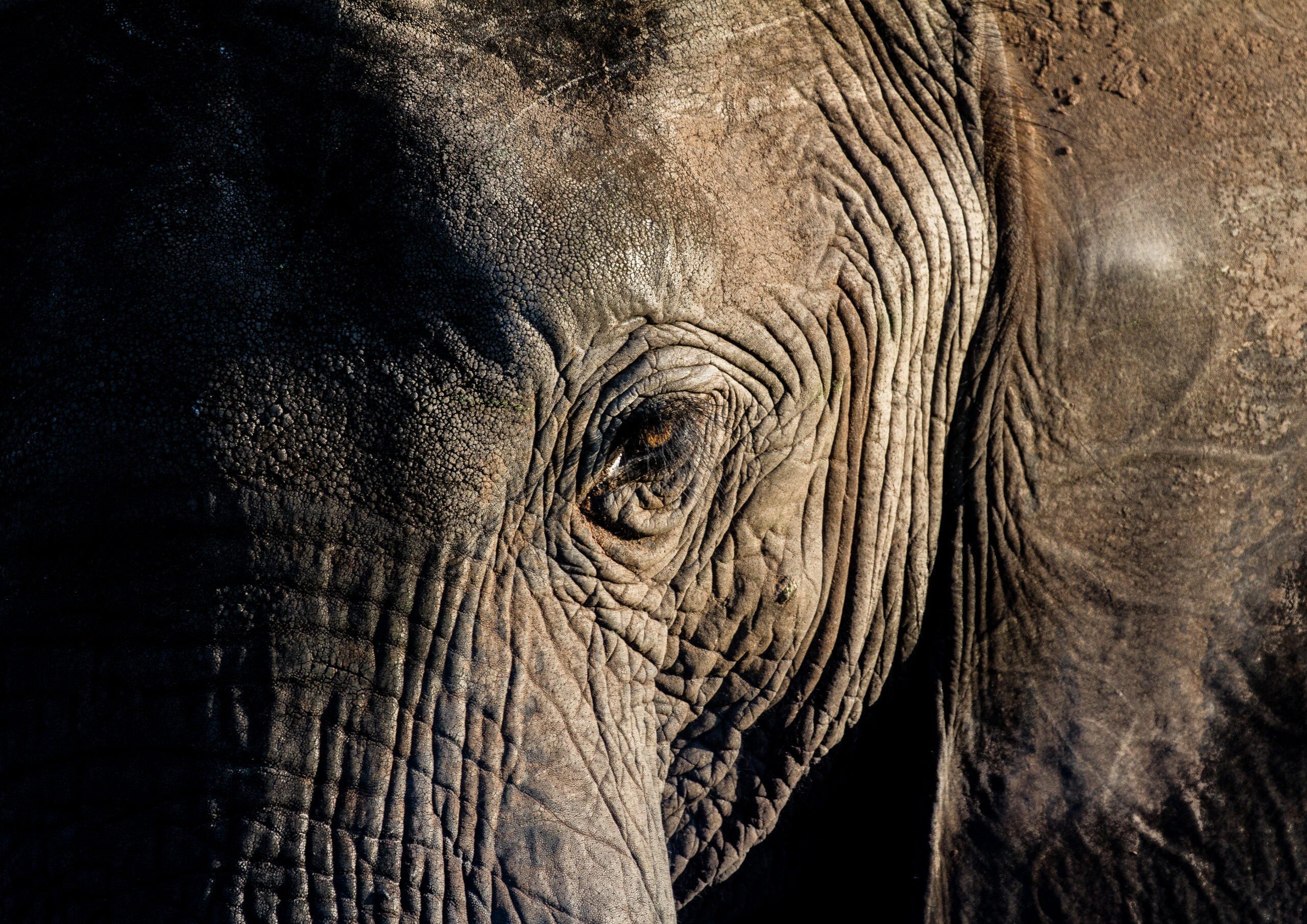 Botswana