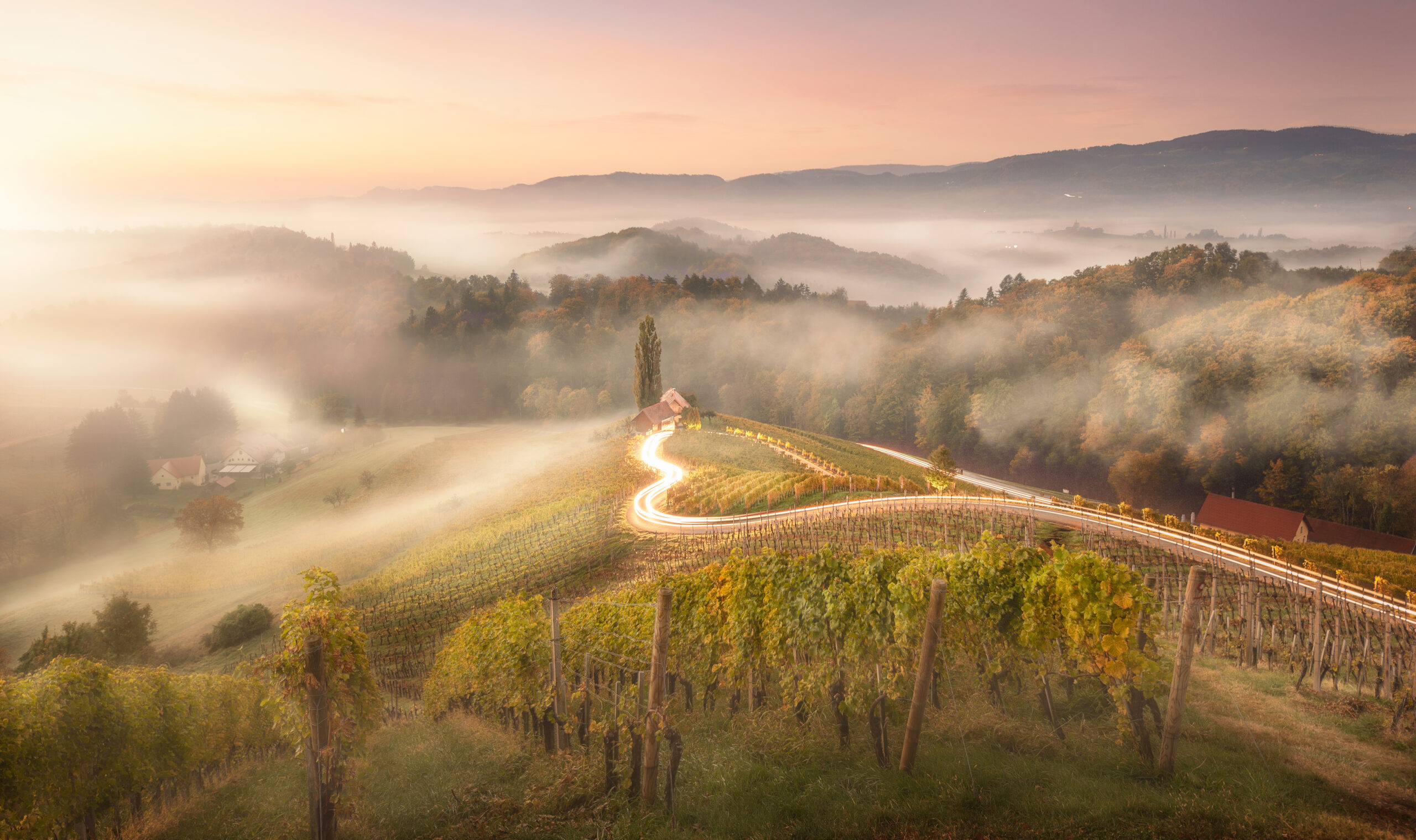 Südsteirische Weinstrasse