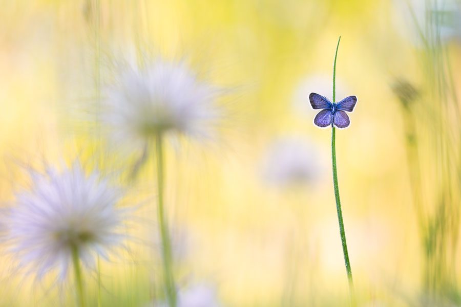 Small Worlds: Der Zauber der kleinen Welten − Perdita Petzl und Henrik Spranz - Photo+Adventure