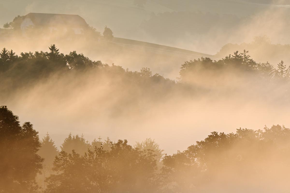 Gerhard-Zimmert_Mühlviertel-Morgennebel