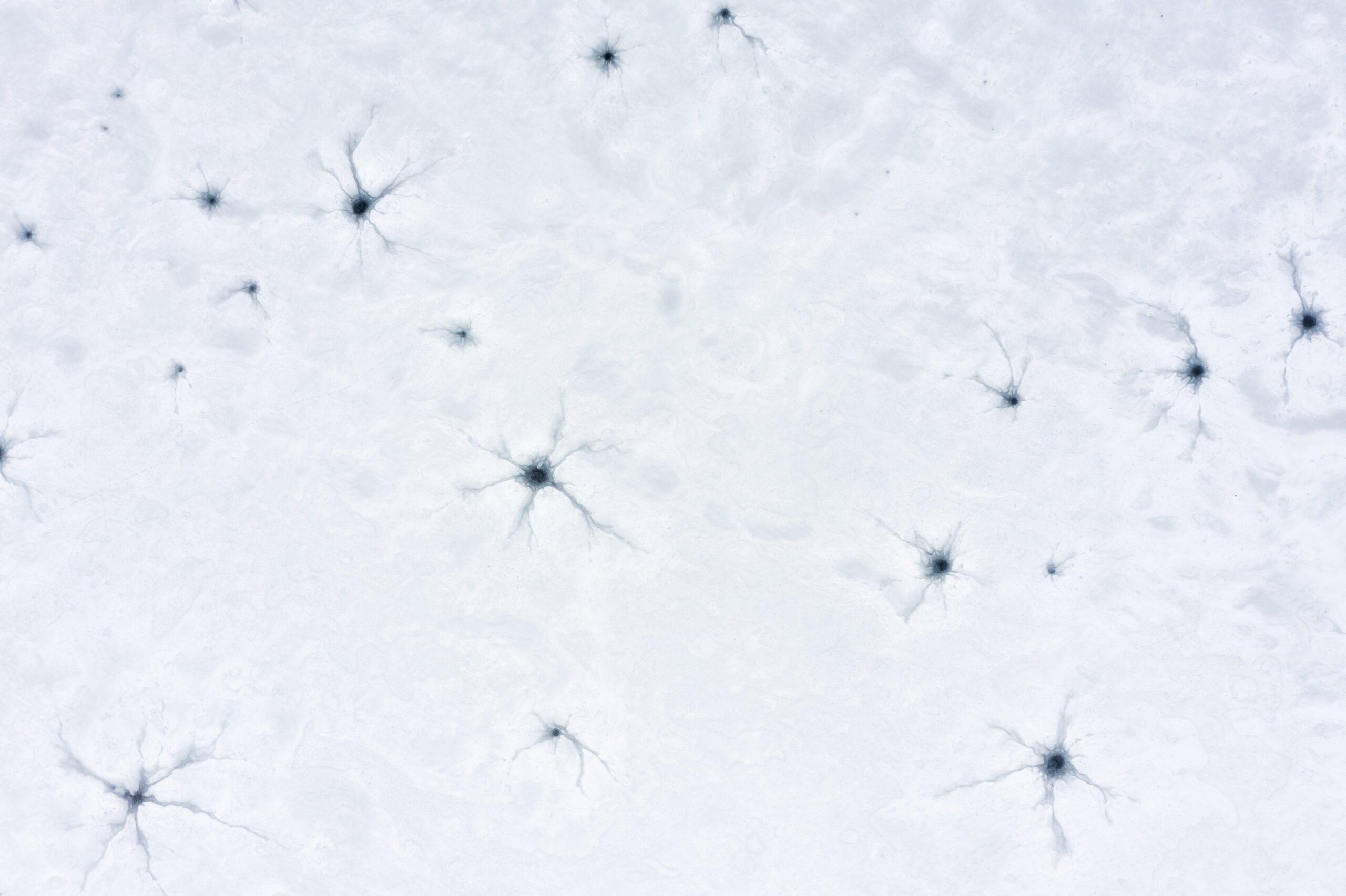 Oliver-Bolch_Gosausee_001