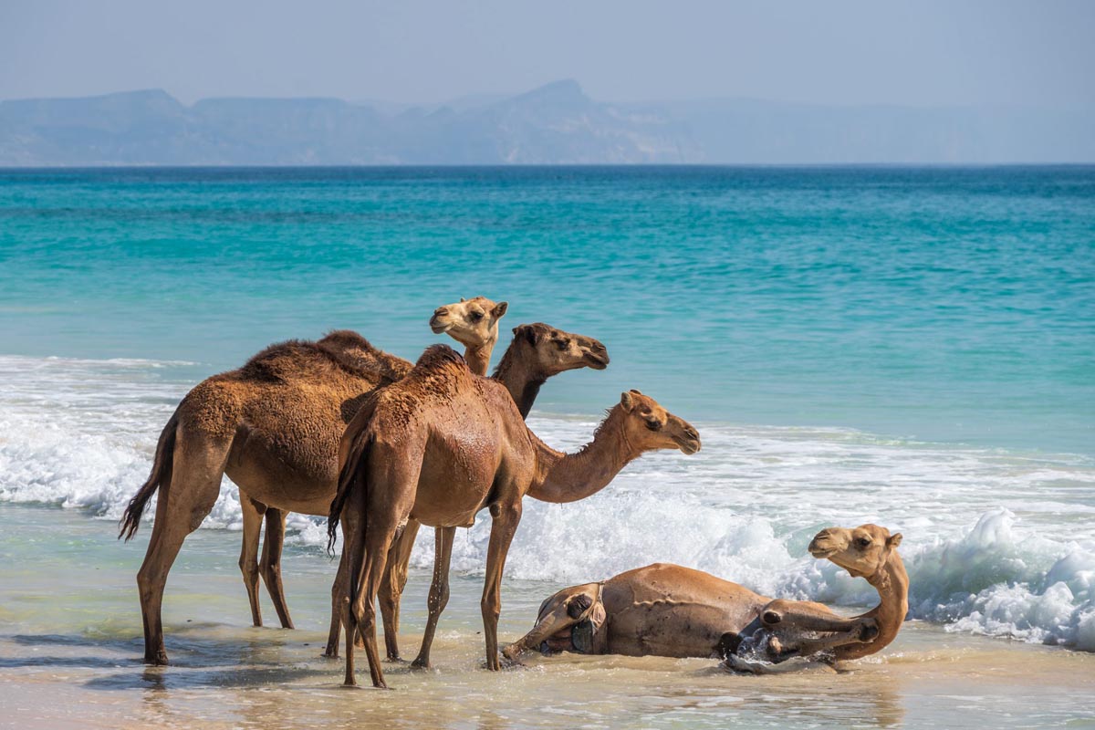 Oman − Rainer Skrovny / Wiener Fotoschule - Photo+Adventure