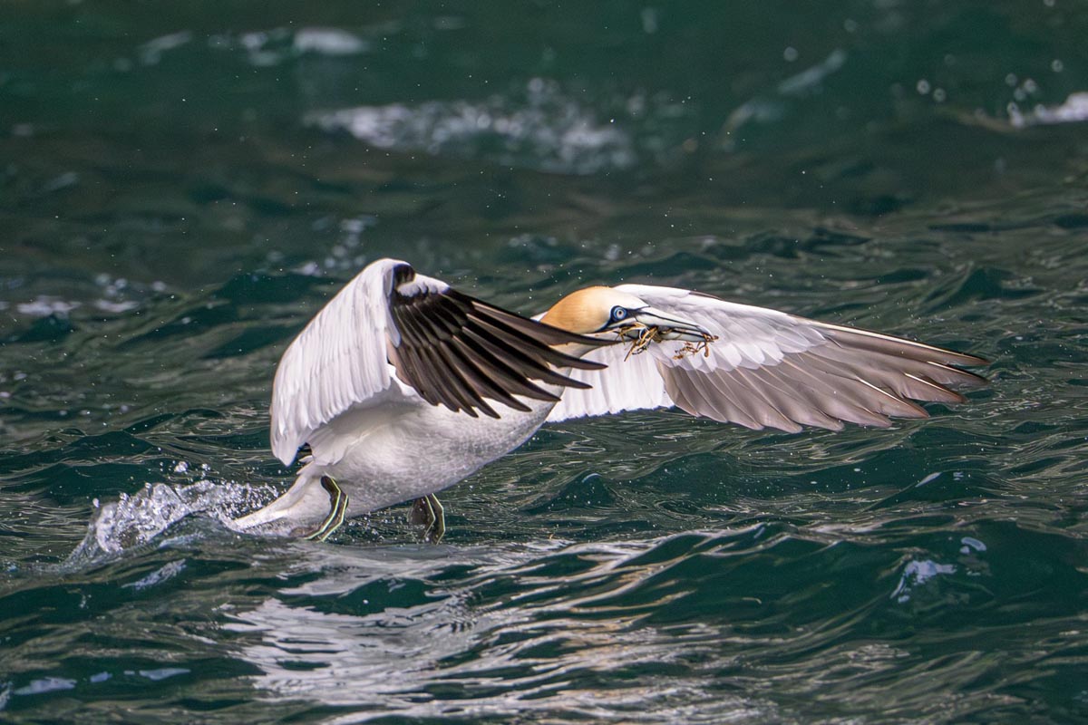 Orkney- & Shetland Inseln − Rainer Skrovny / Wiener Fotoschule - Photo+Adventure