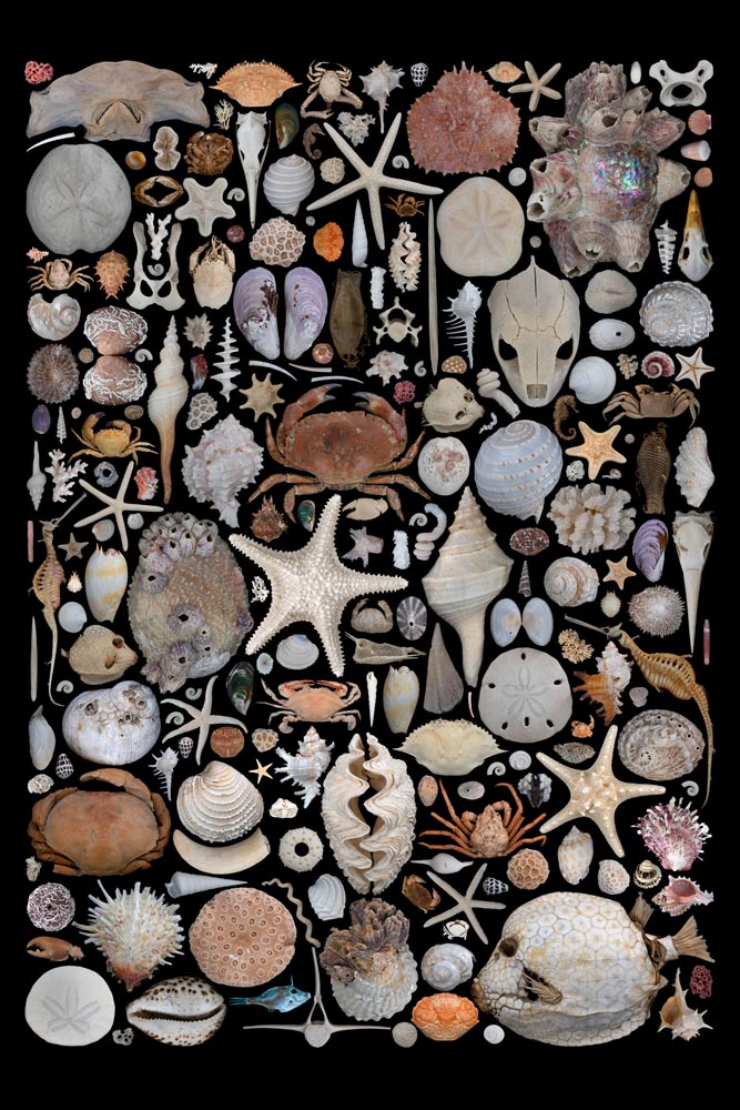 GLAENZEND_Bleached 01 Okt 2025_PA-2025