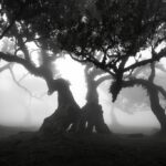 Landschaftsfotografie anders sehen - Photo+Adventure