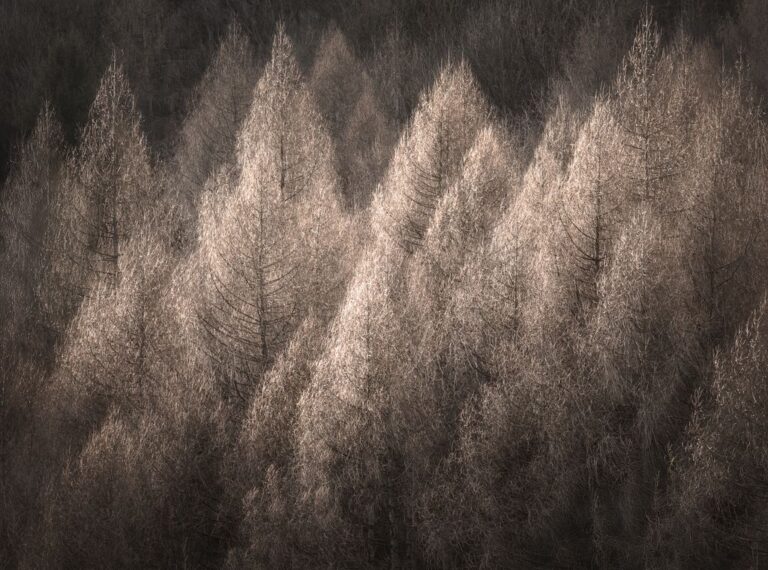 Landschaftsfotografie anders sehen