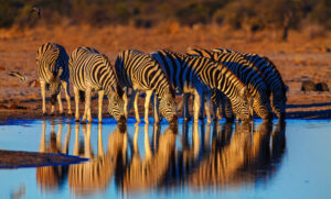 Namibia » Photo+Adventure