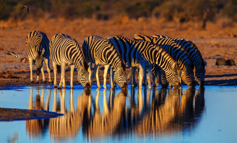 Namibia » Photo+Adventure