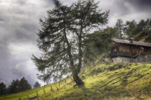 Erfolgreich im Wettbewerb » Photo+Adventure