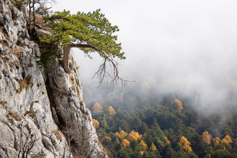 Hohe Wand im Herbst &raquo; Photo+Adventure