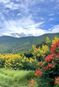 Bhutan » Photo+Adventure