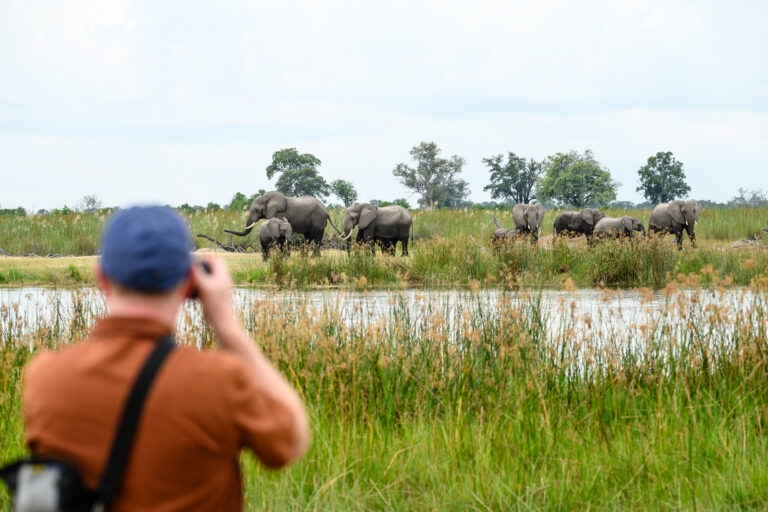 Safarifotografie