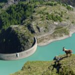 Themenschwerpunkt 2026: Die Natur und wir