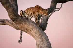 Reisefotografie als Beruf » Photo+Adventure