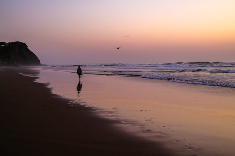 Discover the World of Natural Light » Photo+Adventure