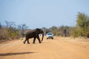 Botswana » Photo+Adventure