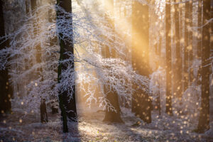 The Beauty Beyond &raquo; Photo+Adventure