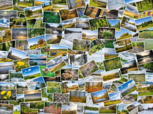 Fotografie für die Natur &raquo; Photo+Adventure