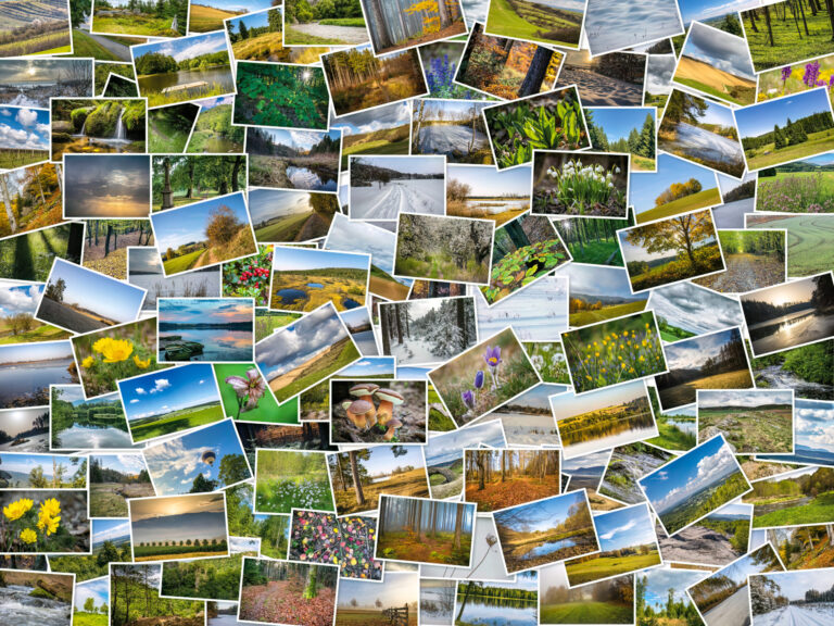 Fotografie für die Natur &raquo; Photo+Adventure