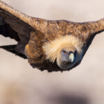 Seiten » Photo+Adventure